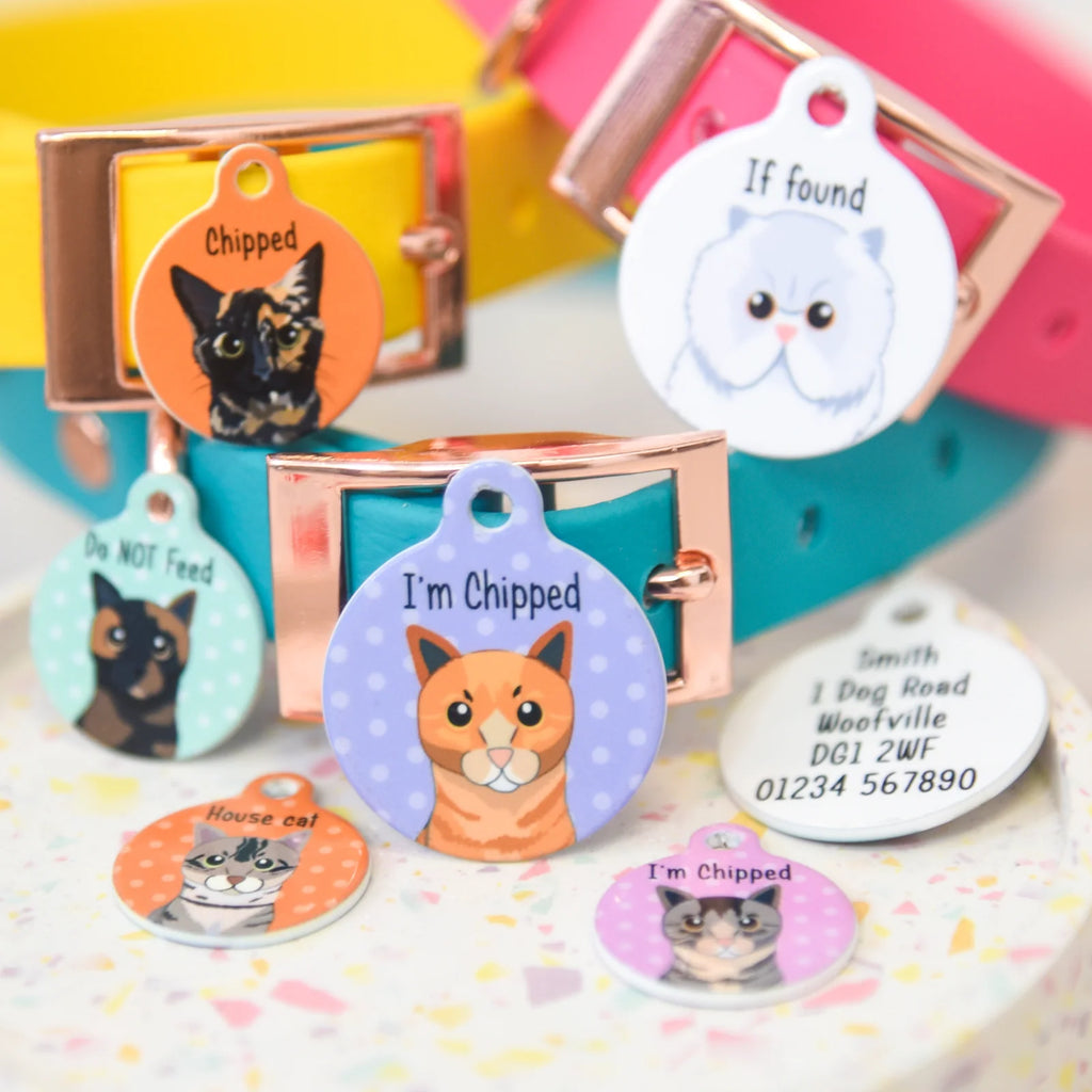 Personalized Cat ID Name Tag