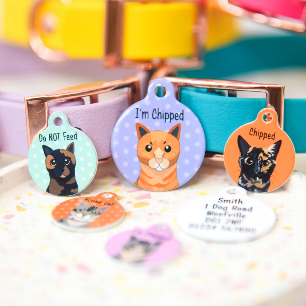 Personalized Cat ID Name Tag