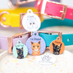 Personalized Cat ID Name Tag