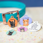 Personalized Cat ID Name Tag