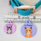 Personalized Cat ID Name Tag