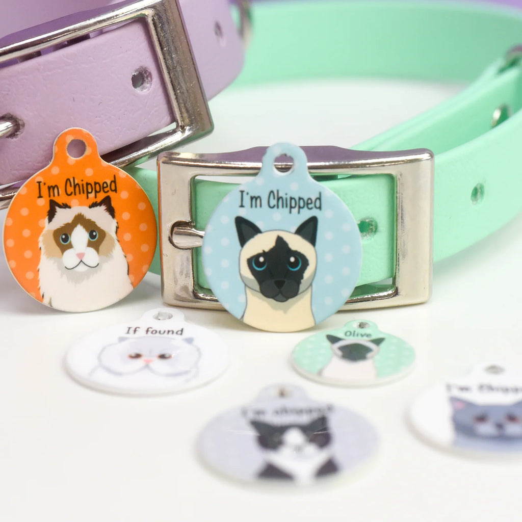 Personalized Cat ID Name Tag