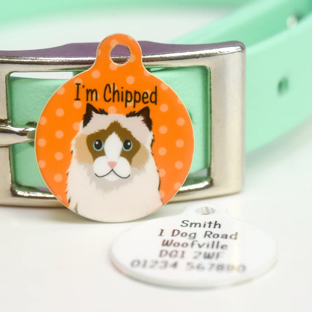 Personalized Cat ID Name Tag