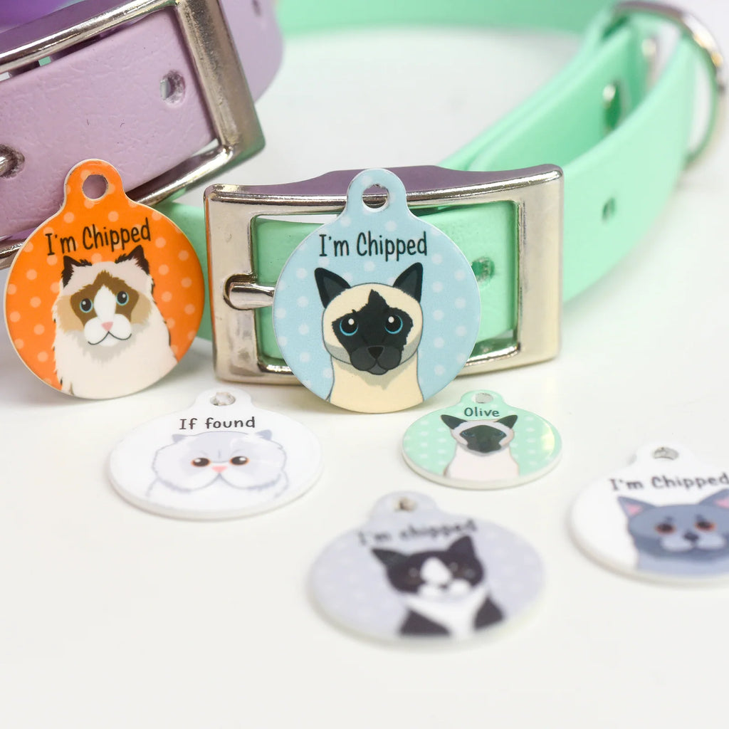 Personalized Cat ID Name Tag