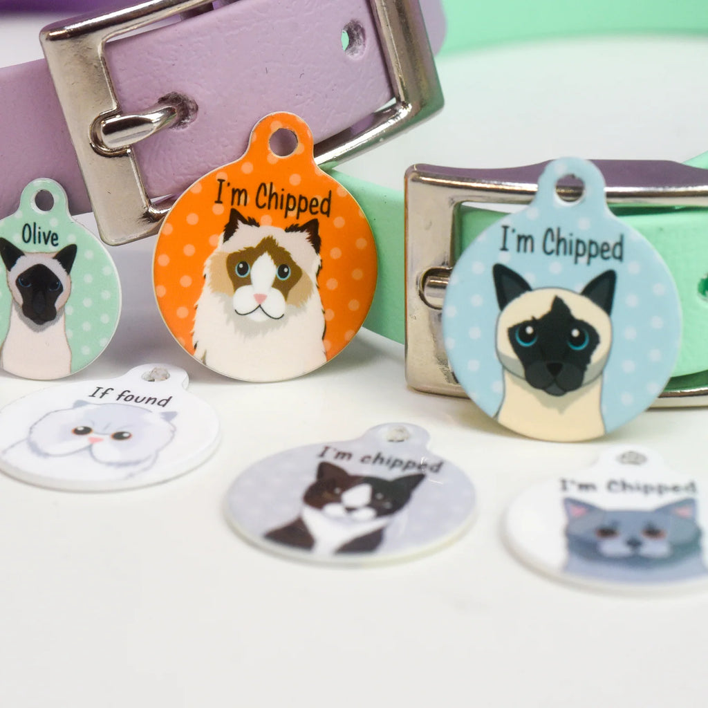 Personalized Cat ID Name Tag