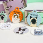 Personalized Cat ID Name Tag