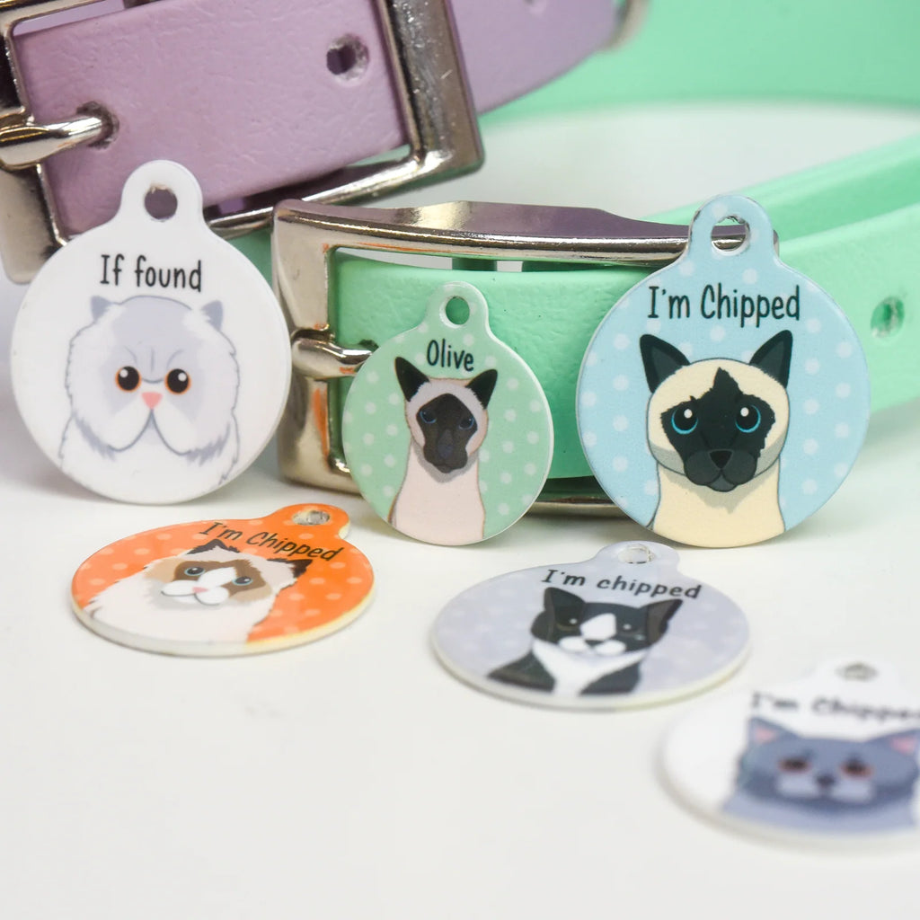 Personalized Cat ID Name Tag