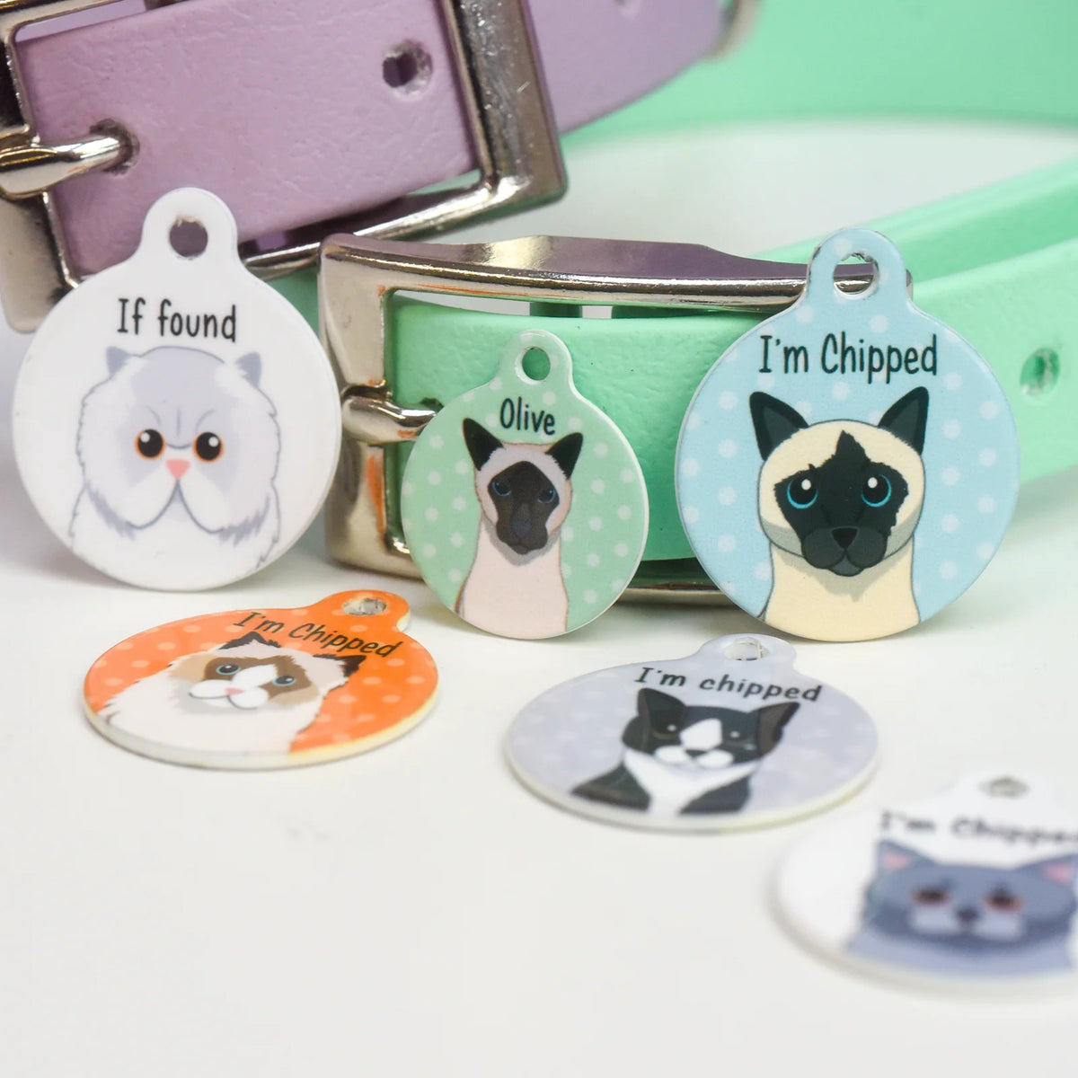Personalized Cat ID Name Tag