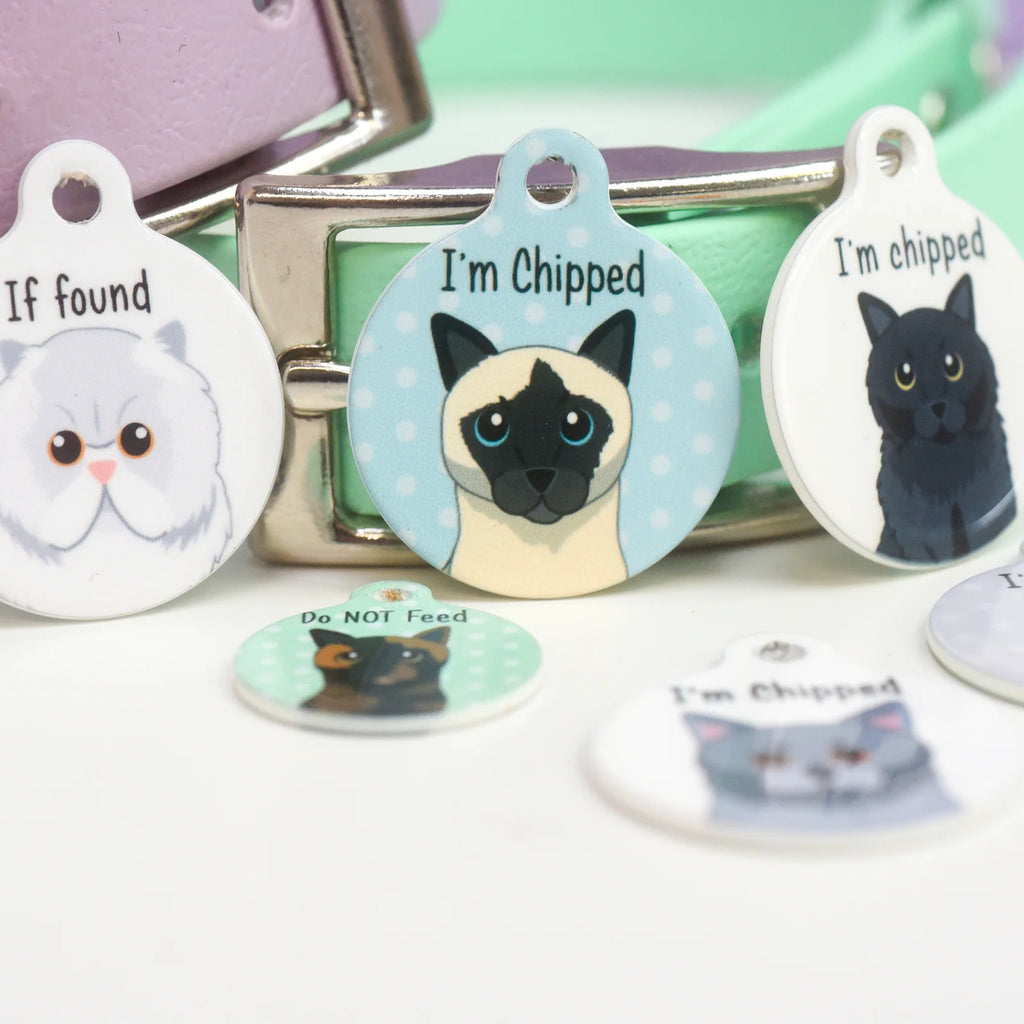 Personalized Cat ID Name Tag