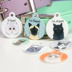 Personalized Cat ID Name Tag