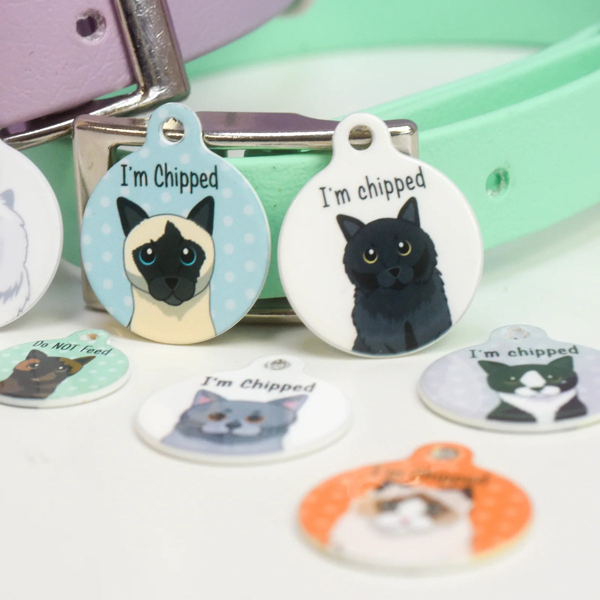 Personalized Cat ID Name Tag
