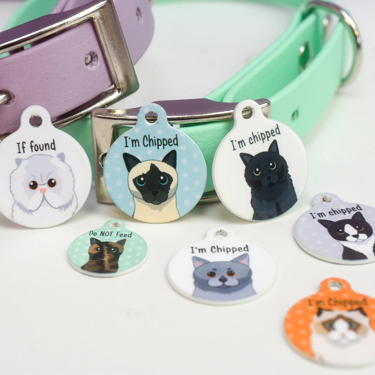 Personalized Cat ID Name Tag