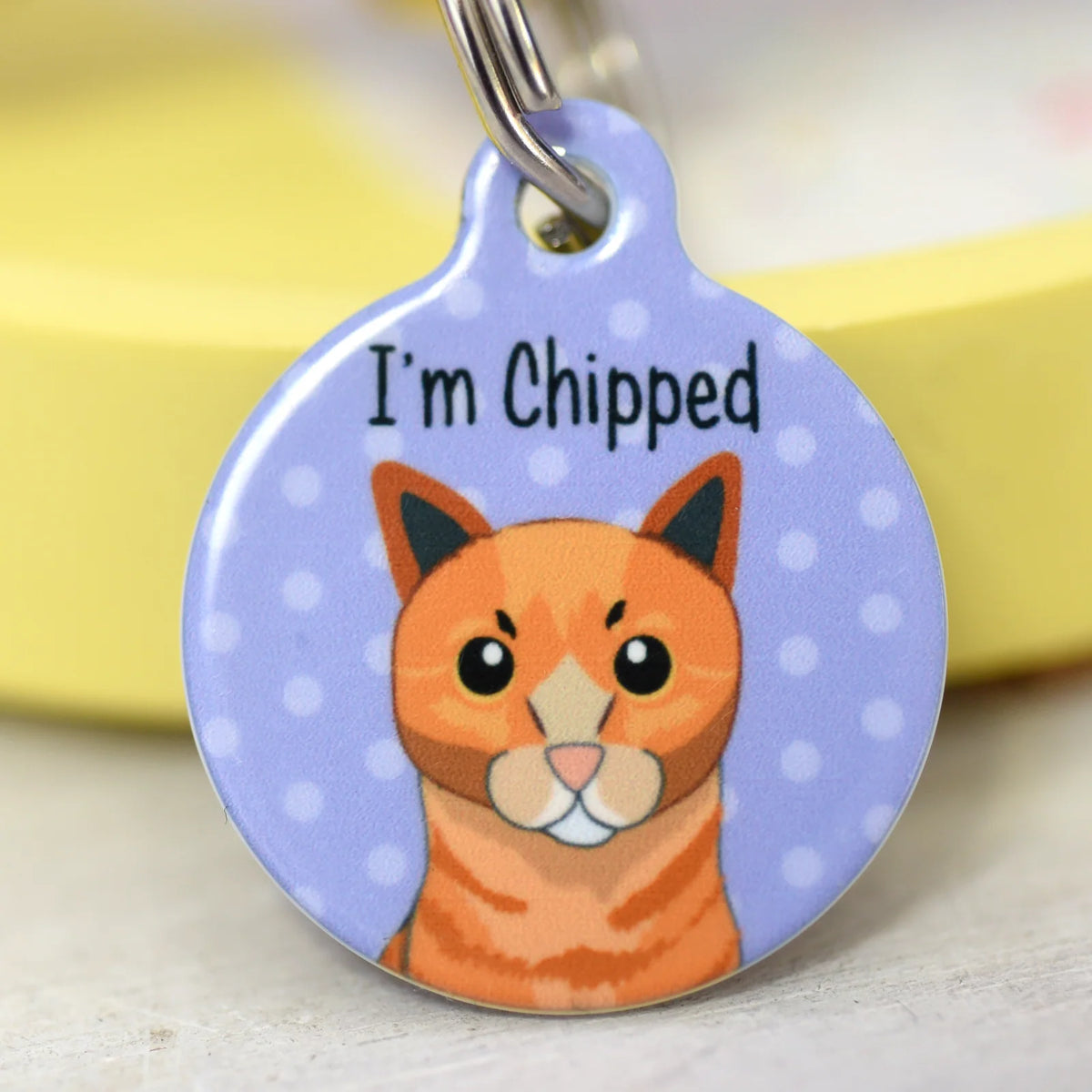 Personalized Cat ID Name Tag