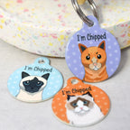 Personalized Cat ID Name Tag