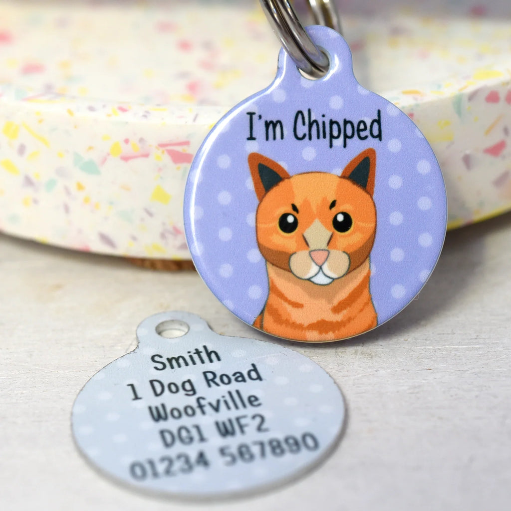 Personalized Cat ID Name Tag