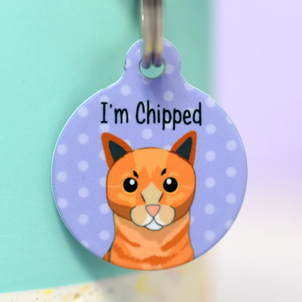 Personalized Cat ID Name Tag