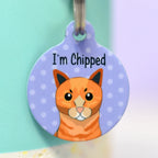 Personalized Cat ID Name Tag