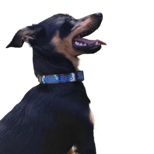Personalized Dog Collars and Leads in Camouflage Style