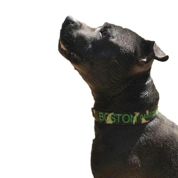 Personalized Dog Collars and Leads in Camouflage Style