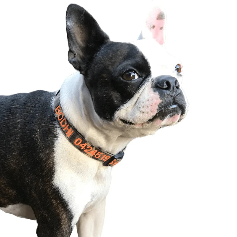 Personalized Dog Collars and Leads in Camouflage Style