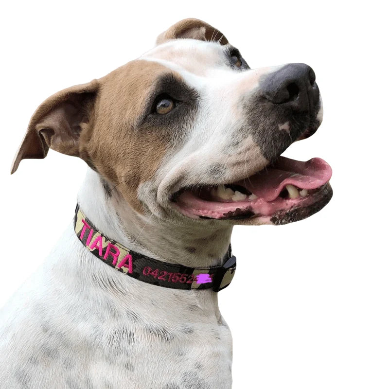 Personalized Dog Collars and Leads in Camouflage Style