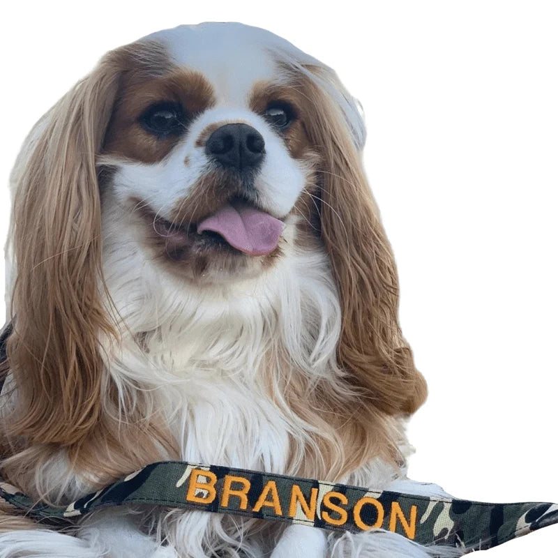 Personalized Dog Collars and Leads in Camouflage Style