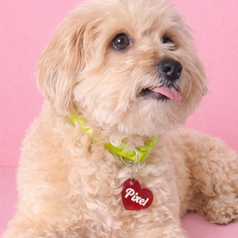 Personalized Heart Pet ID Tag with Custom Engraving, Two Phone Numbers and Seasonal Mini Charm