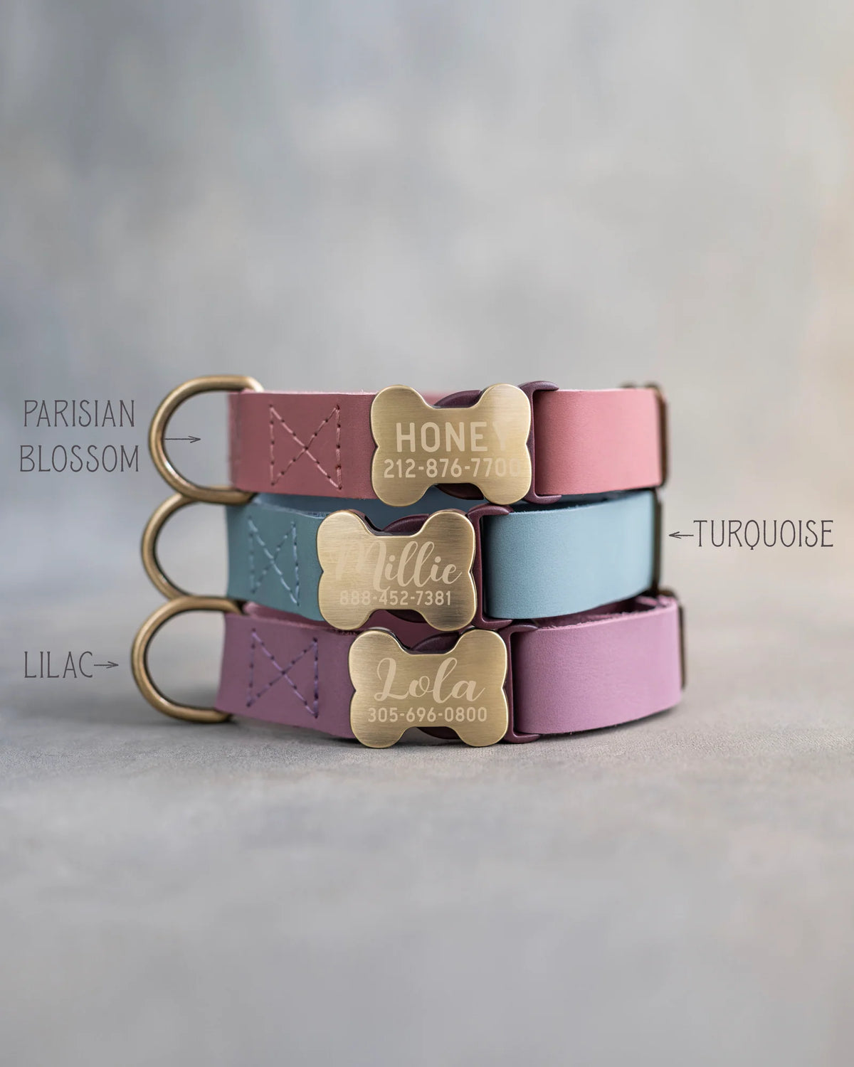 Personalized Leather Dog Collar with Bone-Shaped Buckle, Fast-Release Closure and Custom Name Text