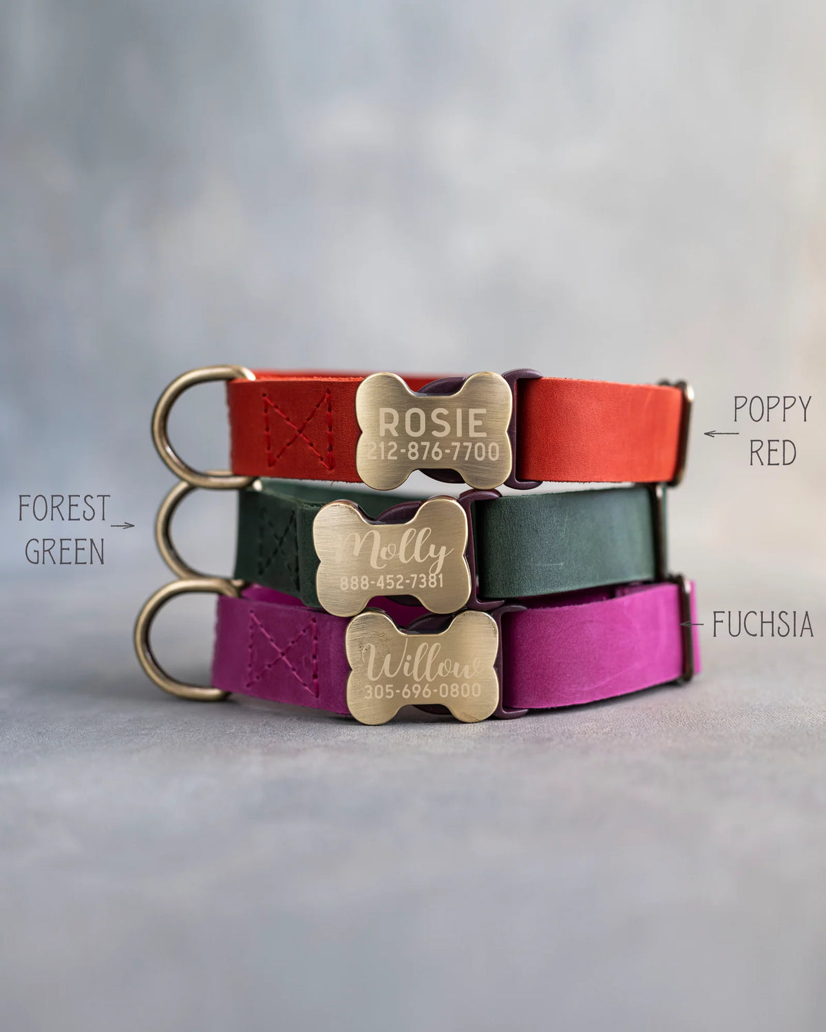 Personalized Leather Dog Collar with Bone-Shaped Buckle, Fast-Release Closure and Custom Name Text