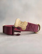Personalized Leather Dog Collar with Bone-Shaped Buckle, Fast-Release Closure and Custom Name Text
