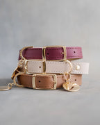 Personalized Leather Dog Collar with Engraved Three-Line ID Plate and Classic Adjustable Belt Buckle