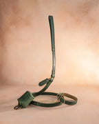 Personalized Leather Dog Collar with Engraved Three-Line ID Plate and Classic Adjustable Belt Buckle