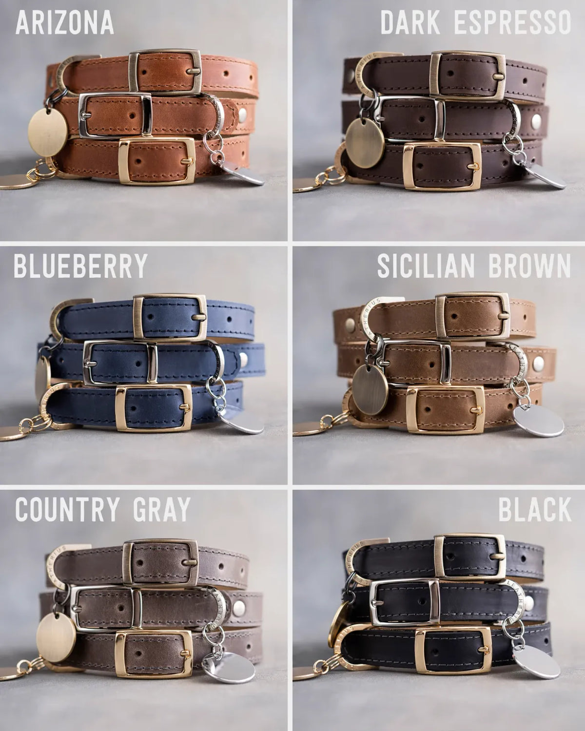 Personalized Leather Dog Collar with Engraved Three-Line ID Plate and Classic Adjustable Belt Buckle