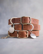 Personalized Leather Dog Collar with Engraved Three-Line ID Plate and Classic Adjustable Belt Buckle