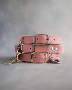Personalized Leather Dog Collar with Engraved Three-Line ID Plate and Classic Adjustable Belt Buckle