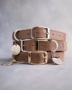 Personalized Leather Dog Collar with Engraved Three-Line ID Plate and Classic Adjustable Belt Buckle