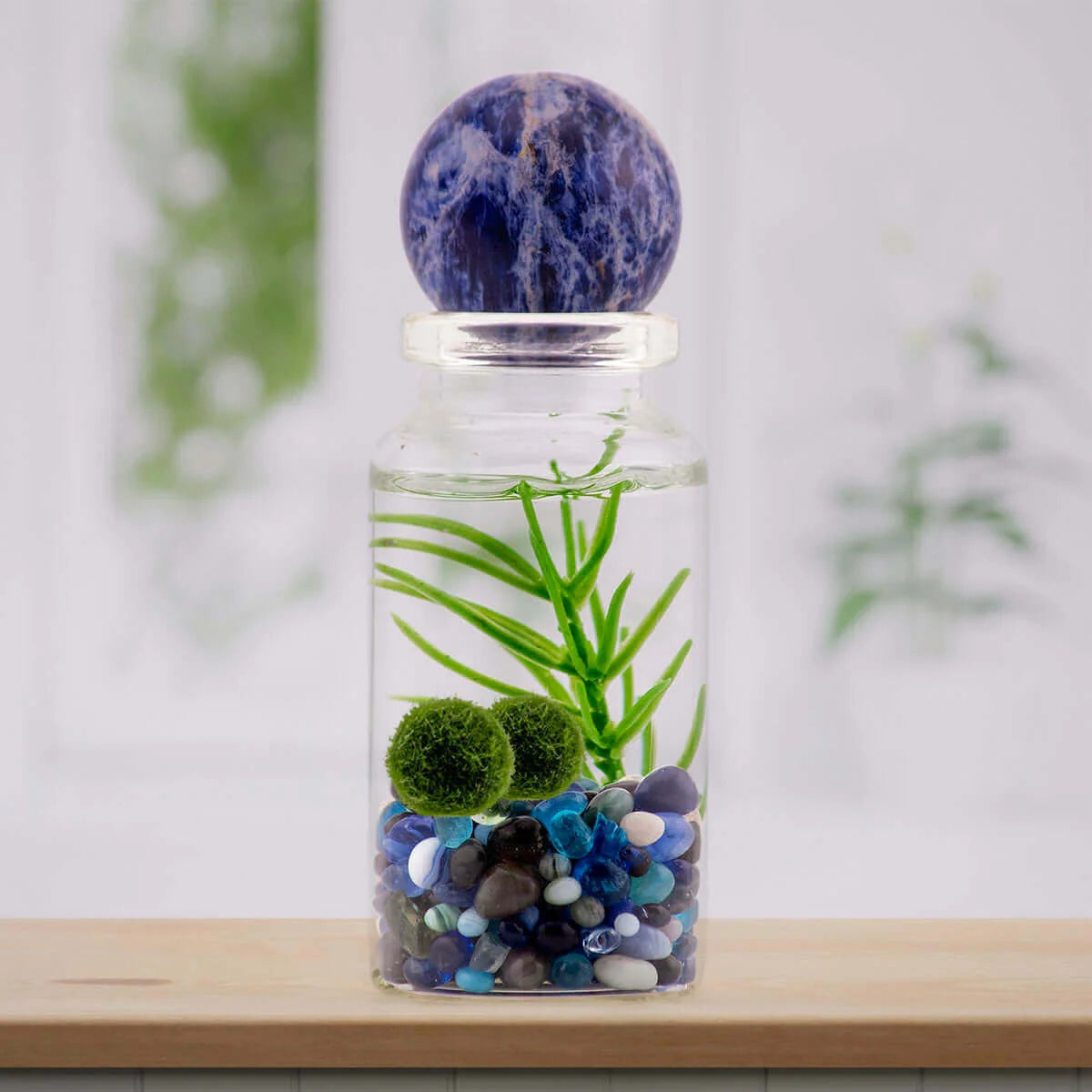 Personalized Marimo Moss Ball Terrarium with Custom Filler Color, Ball Count, and Gemstone Topper