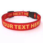 Personalized Pet Col — Cat  3/8" wide (8" - 12" neck) / Baseball Bat / Ball / XSmall 3/8" wide (8" - 12" neck) / Baseball Bat