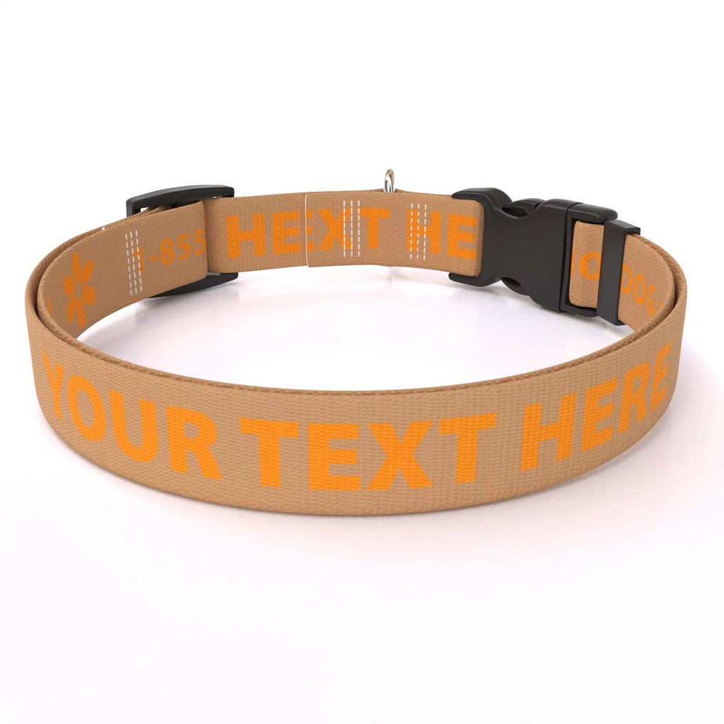 Personalized Pet Col — Cat  3/8" wide (8" - 12" neck) / Daisy Flower / XSmall 3/8" wide (8" - 12" neck) / Daisy Flower / Smal
