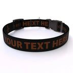 Personalized Pet Col — Cat  3/8" wide (8" - 12" neck) / Fleur de Lis / XSmall 3/8" wide (8" - 12" neck) / Fleur de Lis / Smal