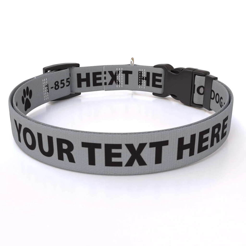 Personalized Pet Col — Cat  3/8" wide (8" - 12" neck) / Pawprint / XSmall 3/8" wide (8" - 12" neck) / Pawprint / Small 3/4" w