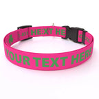 Personalized Pet Col — Cat  3/8" wide (8" - 12" neck) / Shamrock / XSmall 3/8" wide (8" - 12" neck) / Shamrock / Small 3/4" w