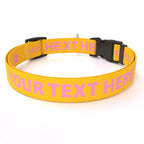 Personalized Pet Col — Cat  3/8" wide (8" - 12" neck) / Star / XSmall 3/8" wide (8" - 12" neck) / Star / Small 3/4" wide (10"