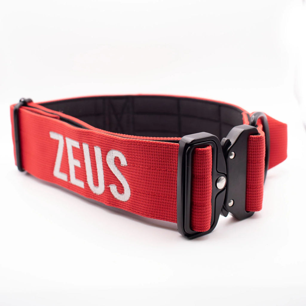 Personalized Red Dog Collar with a 2-Inch Wide — Small 12''-15.5'' / Medium 16''-23'' / Large 19''-25.5'' / X Large 22''-31''