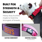 Personalized Red Dog Collar with a 2-Inch Wide Design and Emergency Handle for Strong Pulling Dogs