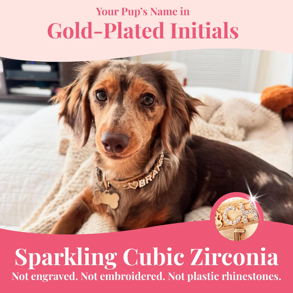 Personalized Sparkle Dog Collar with Name Detail, 18K Gold-Plated Initials and CZ Crystal Charm Style