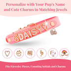 Personalized Sparkle Dog Collar with Name Detail, 18K Gold-Plated Initials and CZ Crystal Charm Style