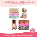 Personalized Sparkle Dog Collar with Name Detail, 18K Gold-Plated Initials and CZ Crystal Charm Style