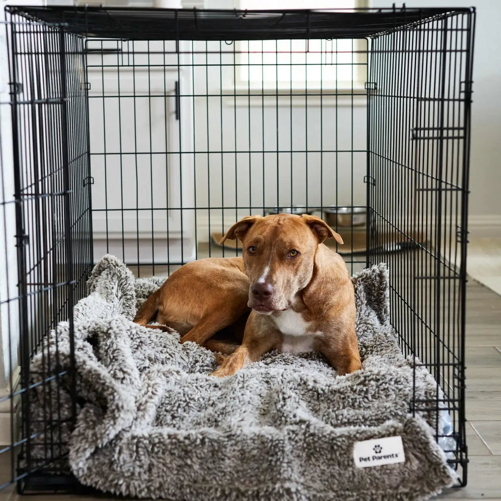 Pet Blanket