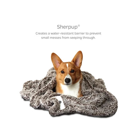 Pet Blanket